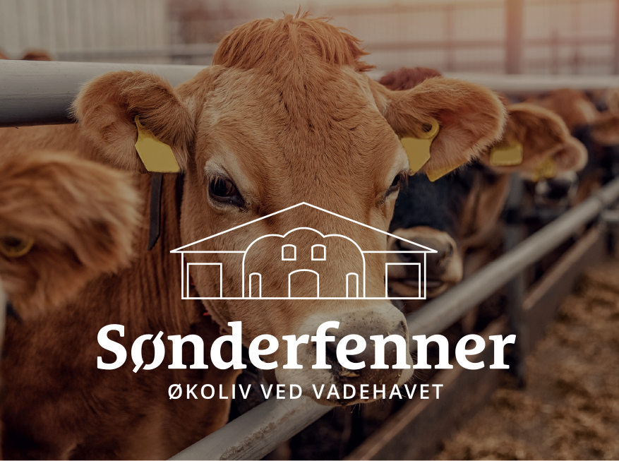 Sønderfenner - Økoliv ved vadehavet